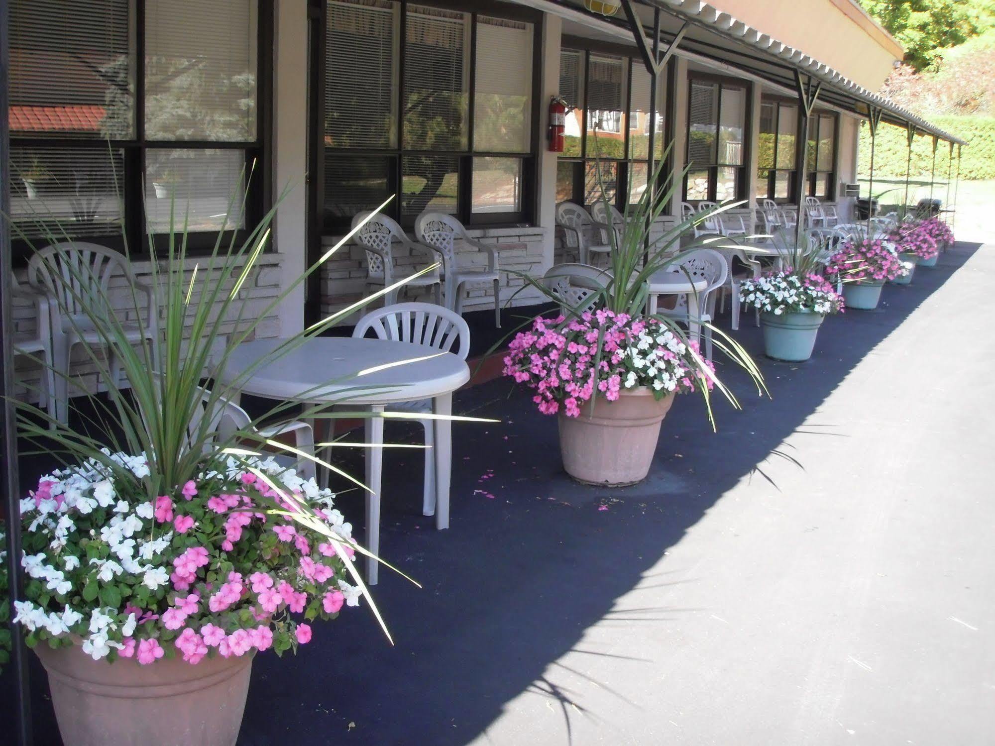 Capricorn Motel Royale 1000 Islands